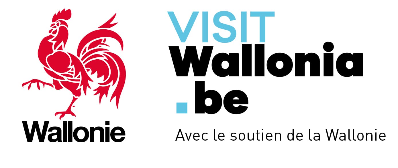 logo de 'visit wallonia'